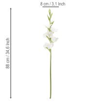 Article Gladiolus artificielle blanche, tige longue 88 cm, décoration intérieure