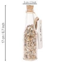 Article Set de 2 bouteilles en verre décoratives avec coquillages et bouchon en liège 17 cm