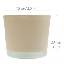 Cache-pot en verre Jardinière beige Jardinière en verre Ø10cm H8.5cm