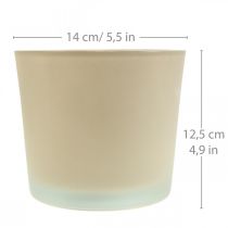 Cache-pot en verre Jardinière beige Jardinière en verre Ø14.5cm H12.5cm