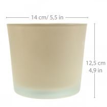 Article Pot de fleur en verre jardinière beige pot en verre Ø14,5cm H12,5cm