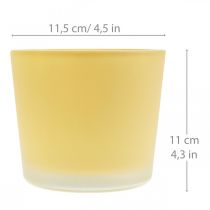 Article Cache-pot en verre pot en verre décoratif jaune Ø11.5cm H11cm