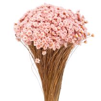 Article Bouquet de fleurs décoratif, idéal pour le printemps, Pâques et les fêtes, 44 cm