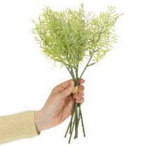 Article Branche d'asperge ornementale, élément naturel pour les bouquets de fleurs, 34 cm, 7 pièces