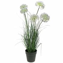 Article Herbes et fleurs artificielles en pot Violet 70cm