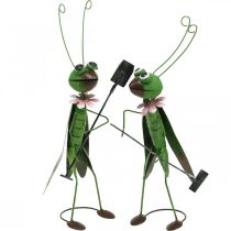 Sauterelle Figurine de Jardin Métal Décoration Cricket avec Râteau et Pelle H33cm Lot de 2