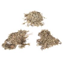 Article Graumoos naturel 500 g pour décoration intérieure et loisirs créatifs