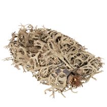 Article Graumoos naturel 500 g pour décoration intérieure et loisirs créatifs