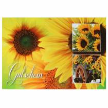 Bon tournesol avec enveloppe 5pcs