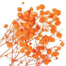 Article Gypsophile séchée orange 75 cm 100 g