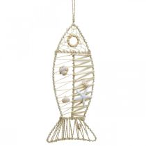 Décoration poisson maritime avec vannerie et coquillages, décoration cintre forme poisson nature 38cm