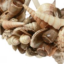 Article Anneau décoratif bois escargots de mer décoration coquille naturel Ø25cm