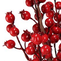 Article Décoration cynorhodon, branches décoratives artificielles, rouge, L62 cm, 3 pièces