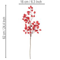 Article Branche de faux cynorrhodons avec baies brillantes 62 cm