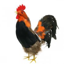 Coq déco à plumes figure décorative Décoration de vitrine Pâques H30cm