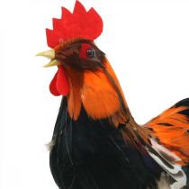 Coq décoratif avec plumes figure décorative Pâques printemps décoration 24cm