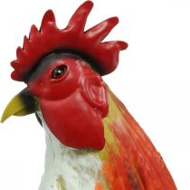 Coq décoratif en métal décoration de jardin colorée décoration en métal 58×13×50cm