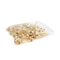 Article Hakea moyen 5-9 têtes par branche blanchies 25 pcs