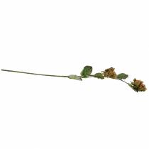 Article Branche de noisette verte / brune 84cm