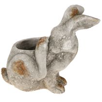 Article Pot de fleurs décoratif en béton motif lapin gris antique 33,5 x 17 x 29,5 cm