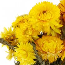 Bouquet de décoration fleurs séchées jaune fleur de paille 75g