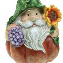 Gnome d&#39;automne décoration citrouille gnome assorti H11.5cm 2pcs