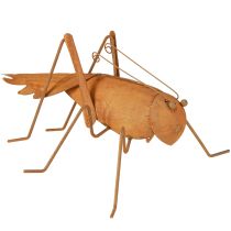 Article Décoration de jardin en forme de sauterelle Décoration en métal rouillé à poser 26 cm