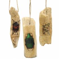 Bois d&#39;insecte suspendu décoratif 9-13cm 36p