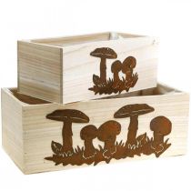 Article Coffret à plantes, boites en bois avec champignons, décoration automne, inox L40/30cm, lot de 2