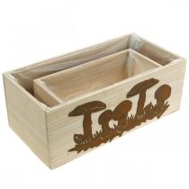 Article Coffret à plantes, boites en bois avec champignons, décoration automne, inox L40/30cm, lot de 2