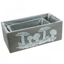 Article Coffret en bois champignon vénéneux, décorations d'automne, décorations de jardin, bacs à plantes L40/30cm, lot de 2