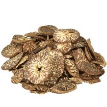 Article Disques décoratifs en bois de noix de bétel, tranches d&#39;arec 1-3,5 cm 300 g