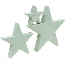 Article Étoiles en bois saupoudres déco Christmas Mint 3/5/7cm 29p