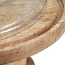 Article Assiette en bois avec dôme en verre coupole à fromage décorative Ø27cm H31cm