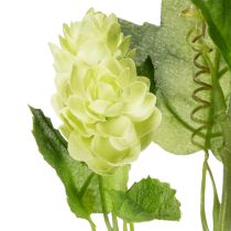 Article Branche de houblon artificielle verte 70 cm - Lot de 2