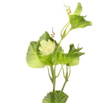 Article Branche de houblon artificielle verte 70 cm - Lot de 2
