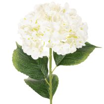 Article Hortensia artificielle sur tige 60 cm en tissu crème