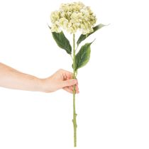 Article Hortensia artificielle avec tige longue et feuilles 60 cm crème-vert