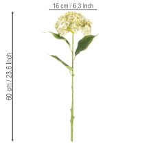 Article Hortensia artificielle avec tige longue et feuilles 60 cm crème-vert