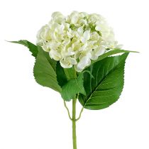 Hortensia 60cm blanc