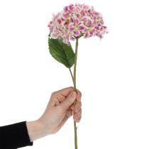 Article Fleur d'hortensia artificielle élégante et durable, 80 cm, 2 pièces