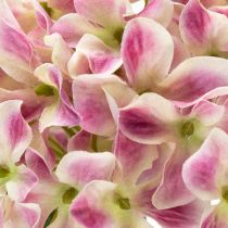 Article Fleur d'hortensia artificielle élégante et durable, 80 cm, 2 pièces