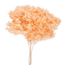 Article Bouquet de fleurs séchées d'hortensias pour une décoration florale élégante à la maison, 65 cm