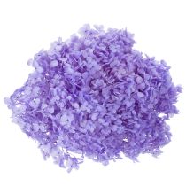Article Fleur d'hortensia séchée pour une décoration intérieure élégante, 80 cm