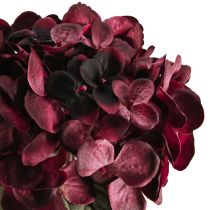 Article Hortensia artificiel Bordeaux 52cm