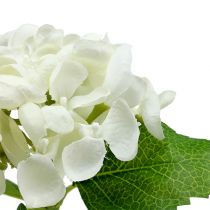 Hortensia 33 cm blanc 1 p.