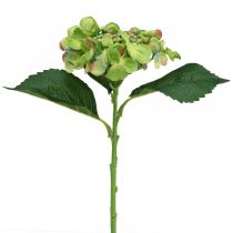 Article Hortensia artificiel, décoration florale, fleur en soie verte L44cm