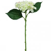 Article Hortensia, fleur en soie, fleur artificielle pour déco de table blanc, vert L44cm