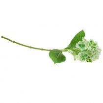 Article Hortensia artificiel vert, blanc 68cm