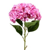 Hortensia géant rose Ø 30 cm L. 113 cm